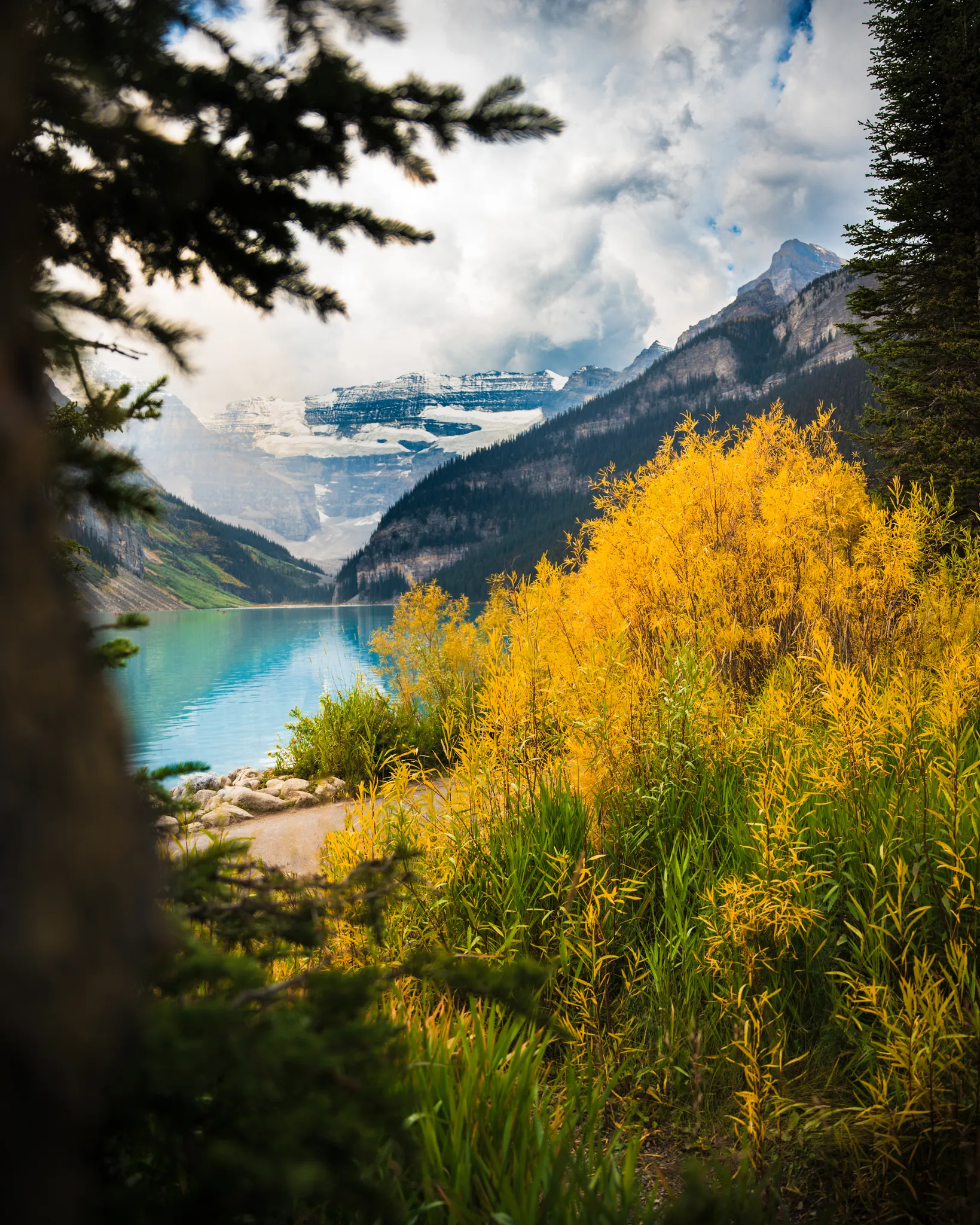Summer Colors at Lake Louise