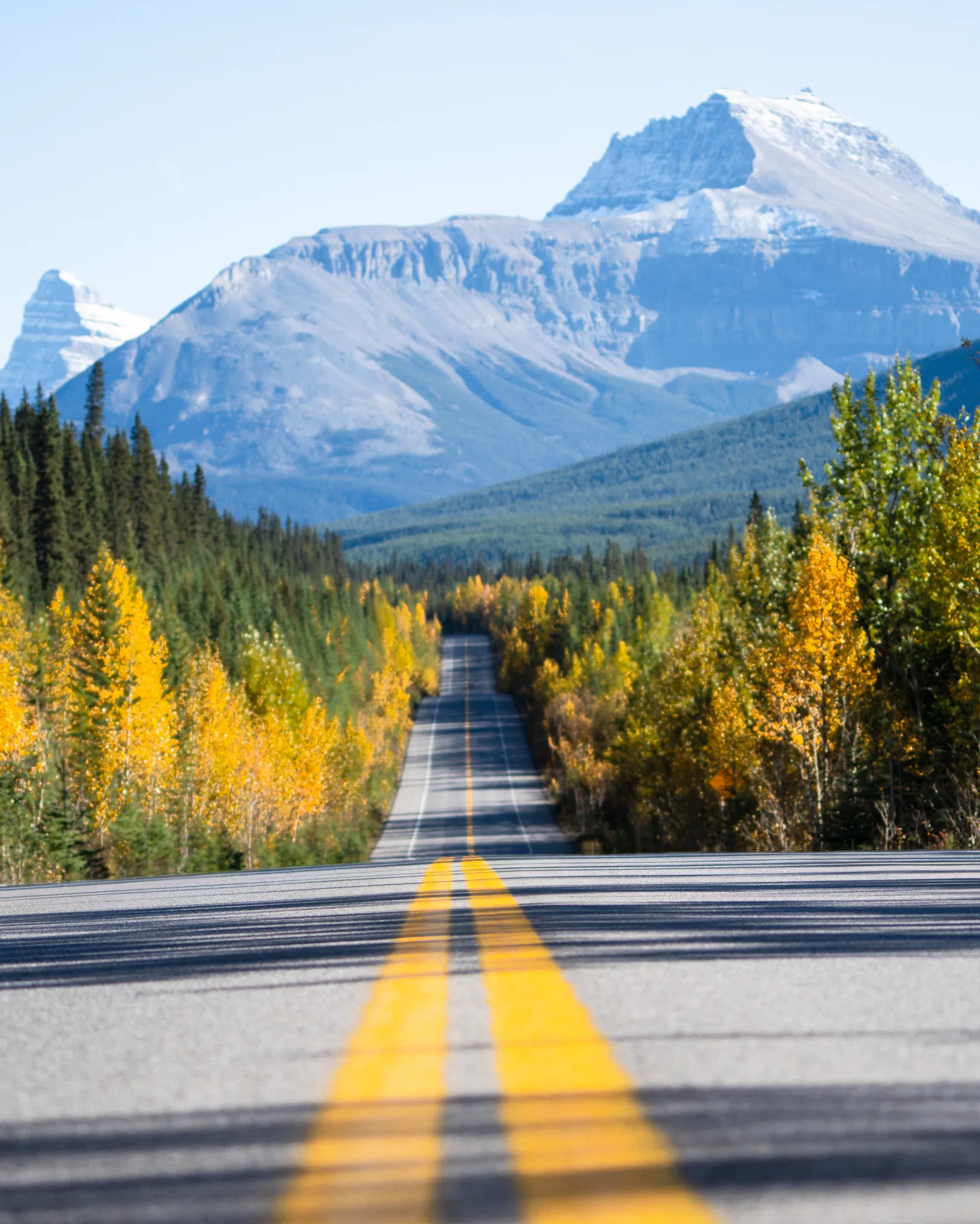 Into the Mountains