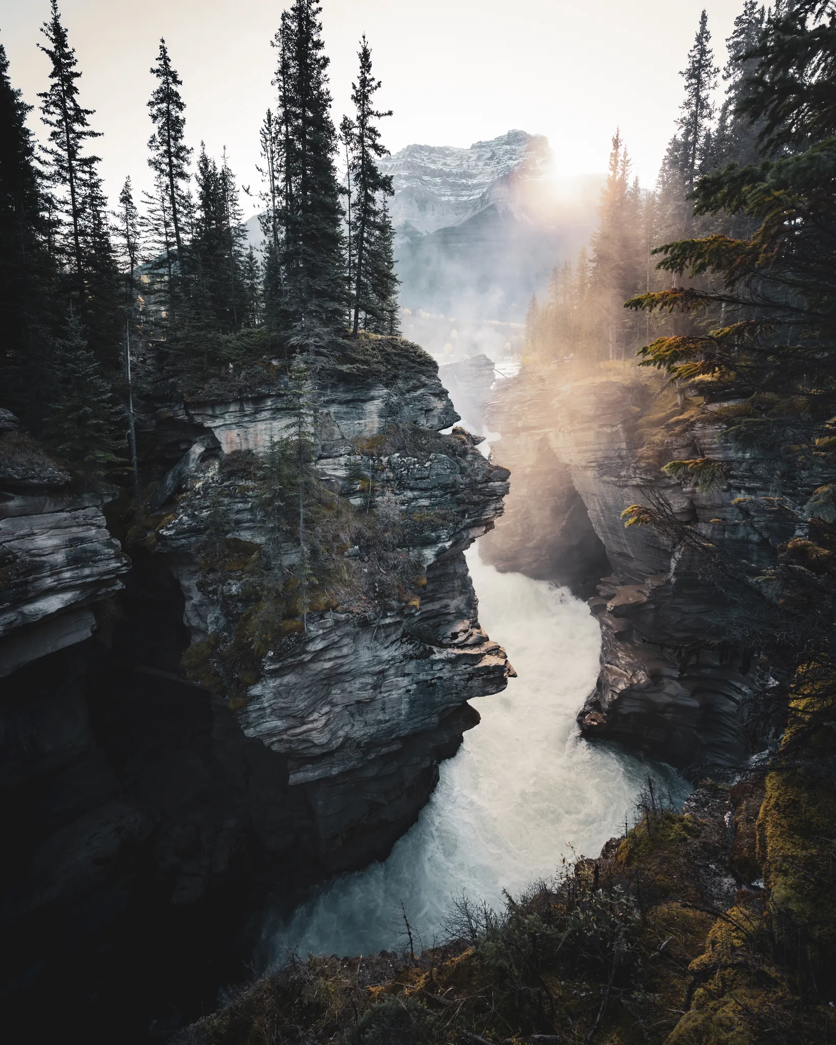Sunlit Rapids