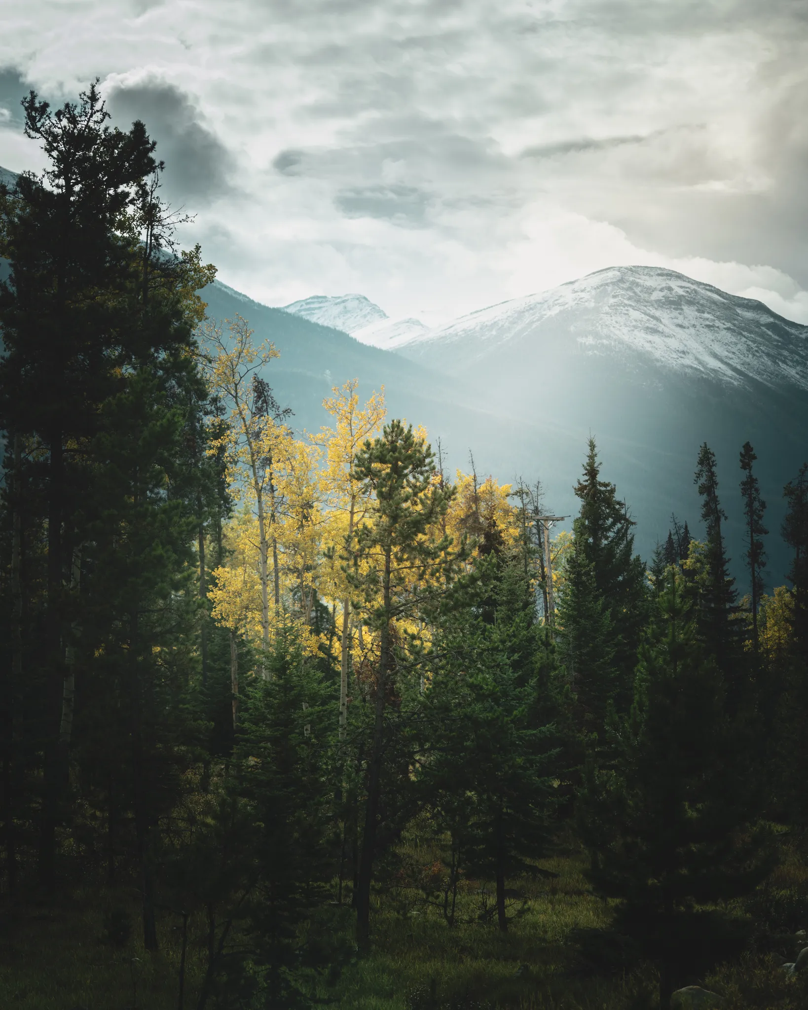 Before the Storm
