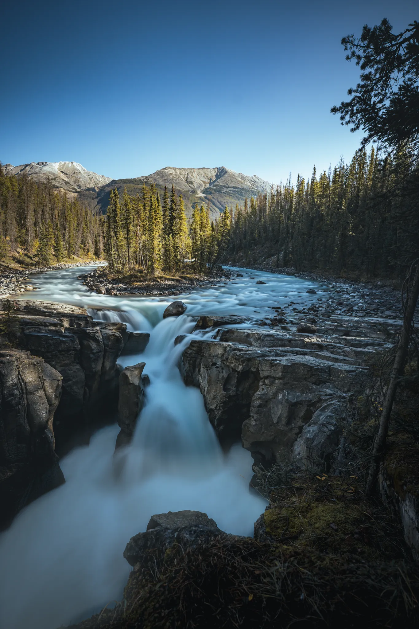 Sunwapta in September